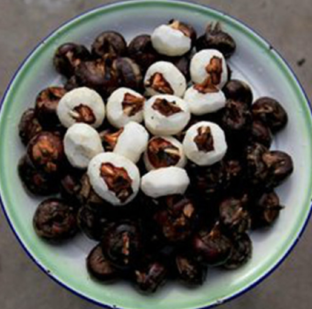 荸薺之旅，探尋內(nèi)心平靜的綠色行情