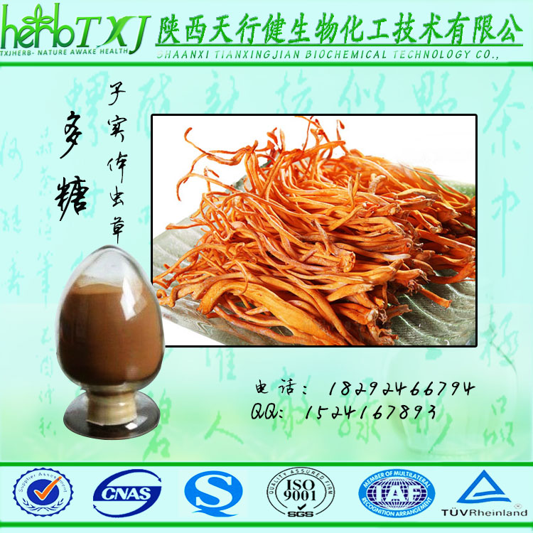 蛹蟲草價(jià)格及購(gòu)買指南