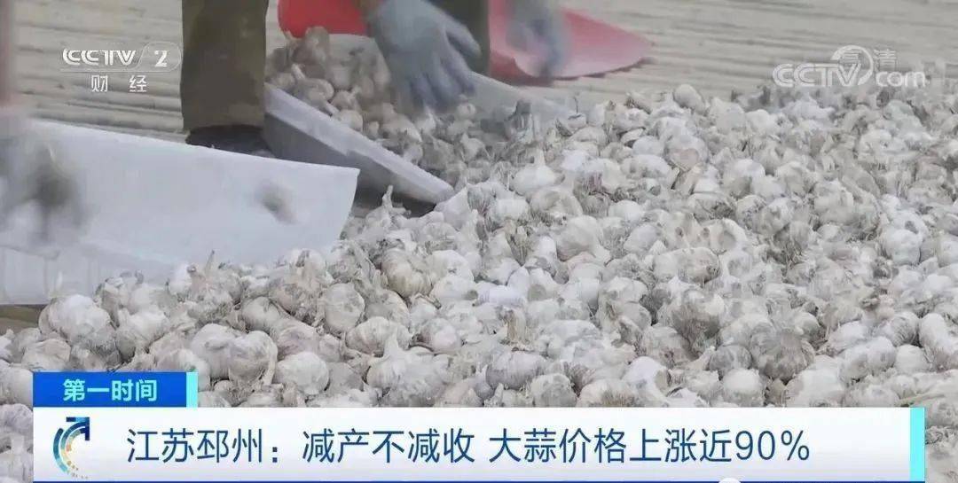 邳州大蒜今日行情更新，新鮮市場(chǎng)動(dòng)態(tài)解析