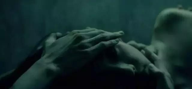 打蟲子的電影，自然美景中的探索之旅