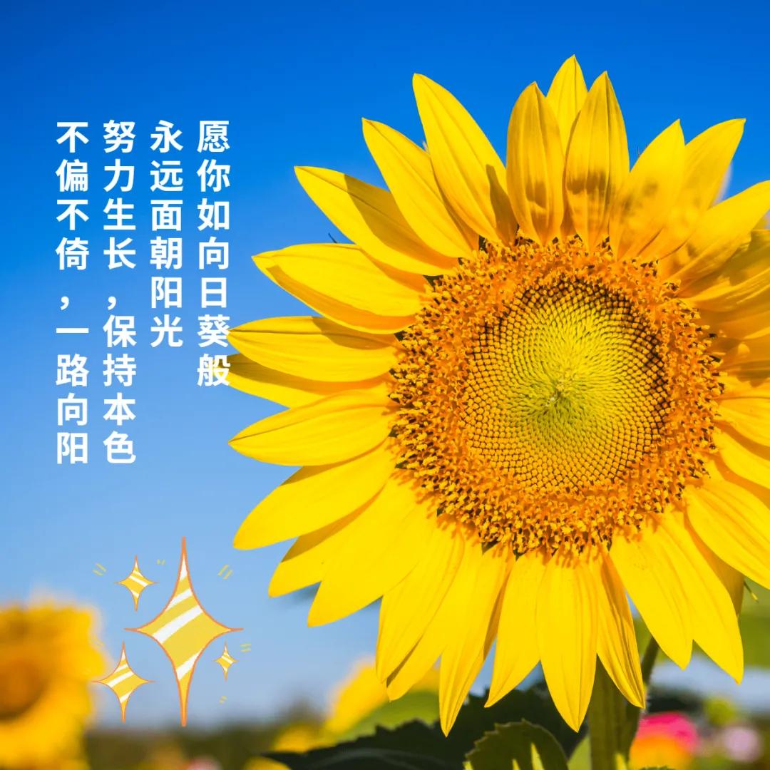 精選語(yǔ)錄回顧，蛻變成長(zhǎng)與無(wú)限可能——我的朋友圈故事 2017年度回顧