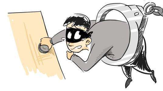 最新盜竊牲畜法律規(guī)定，探索法律在小巷中的實際應(yīng)用