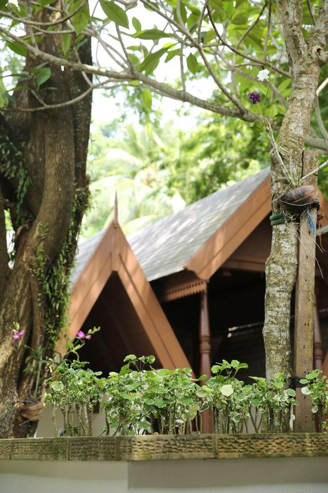 明星sl的溫馨日常，愛(ài)與陪伴的力量