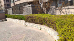 陽(yáng)光國(guó)際城601，家的溫馨與友情深度鏈接的實(shí)景圖展示