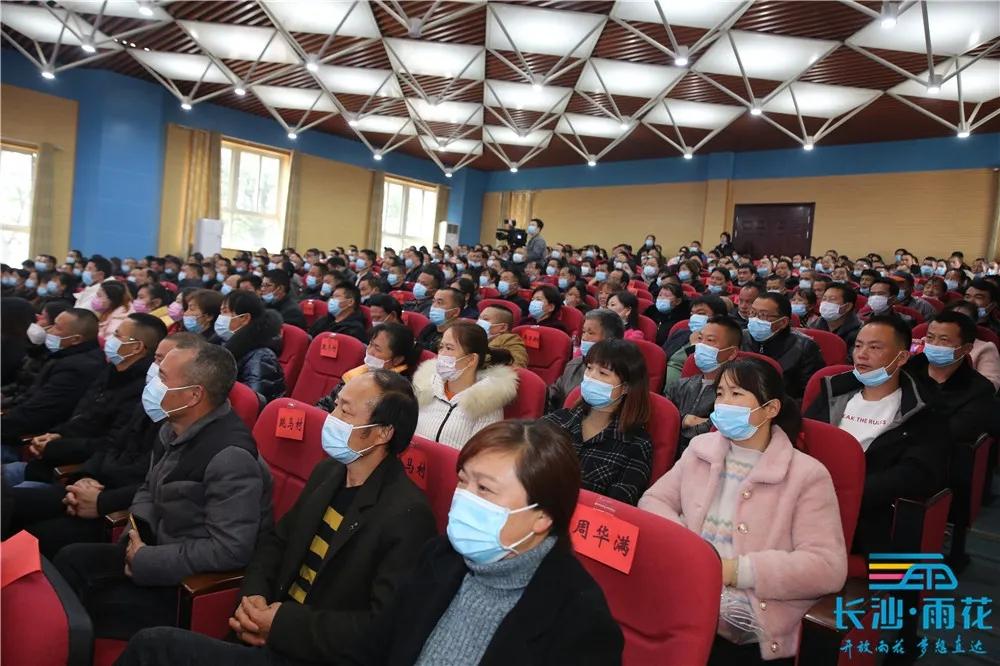 雨花區(qū)跳馬最新資訊，小巷深處的獨(dú)特風(fēng)味探索