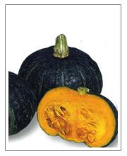 金屬沖壓模具的加工銷售 第199頁