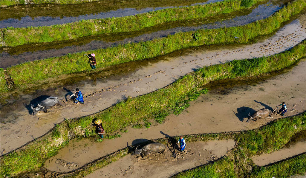女人的地男人犁最新章節(jié),女人的地男人犁最新章節(jié)，探索現(xiàn)代兩性關系的深度發(fā)展