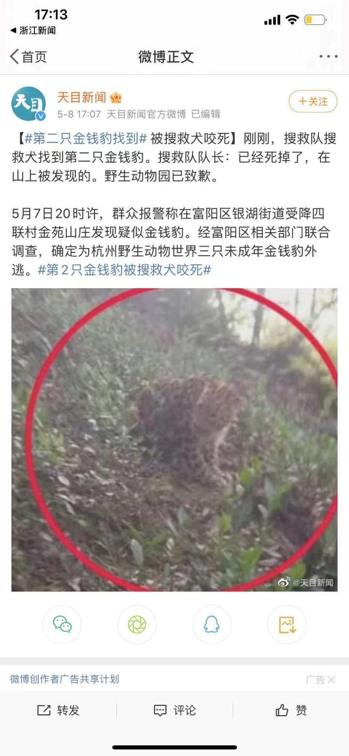 承德新聞快訊，多元視角下的觀察與解讀今日更新