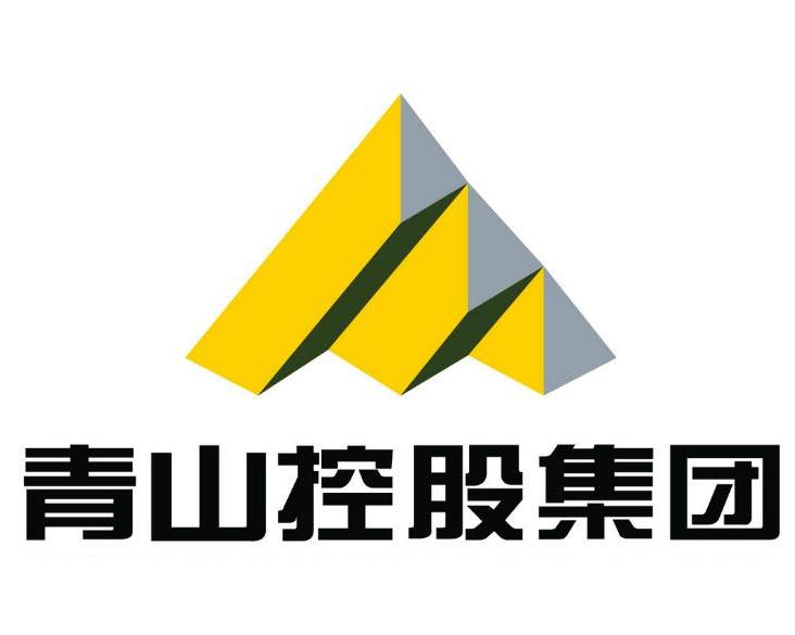 青山控股是否上市？解析其上市計劃與現(xiàn)狀