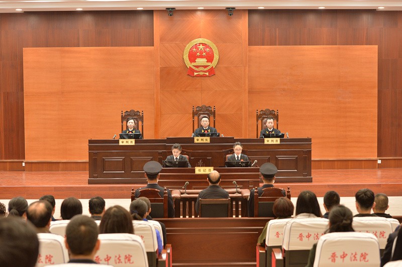 季緗綺副省長最新動態(tài)揭秘，日常趣事與深厚友情展現(xiàn)風采