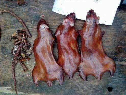 湛江田鼠收購信息與實(shí)現(xiàn)夢想，學(xué)習(xí)變化，自信助力前行