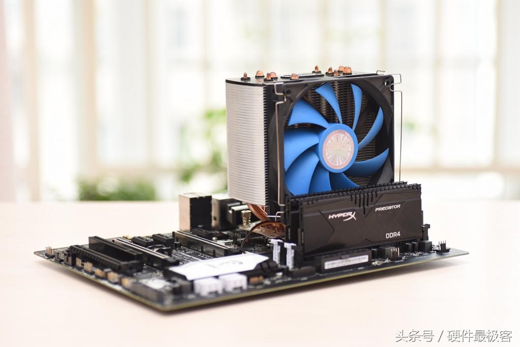 銀環(huán)蛇的價(jià)格，蛻變之路的自信與成就感展現(xiàn)