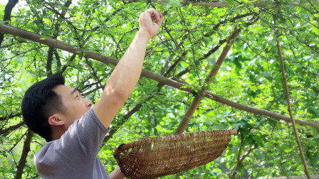 遂川熱門資訊與發(fā)展動態(tài)探尋