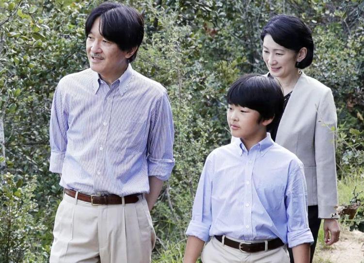 妯娌之間電視劇全集,妯娌之間，電視劇的全集解析與深度回顧