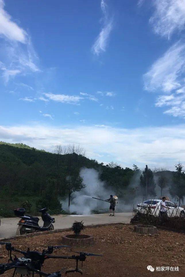 最新蝗蟲災(zāi)害動態(tài),最新蝗蟲災(zāi)害動態(tài)，應(yīng)對與防治的詳細(xì)步驟指南