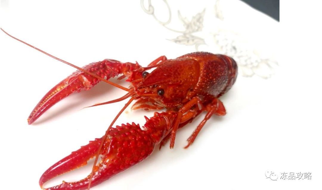 龍蝦價(jià)格變遷，時(shí)代印記與特定影響因素的探究