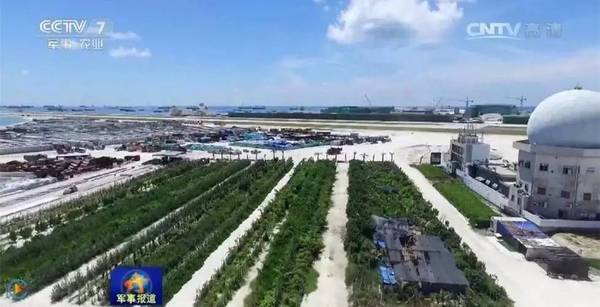 南沙島礁建設(shè)最新進展揭秘，南沙建設(shè)進展圖片探秘與小巷深處的神秘寶藏