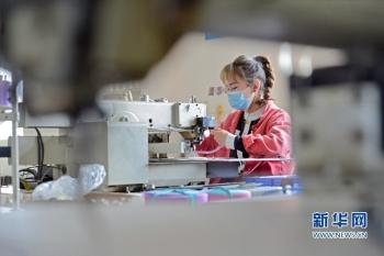 泉州市包袋廠招聘信息揭秘，小巷中的獨特工廠探秘之旅