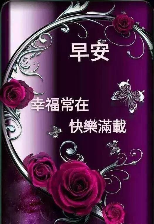 微信電腦版更新指南，詳細(xì)步驟教程