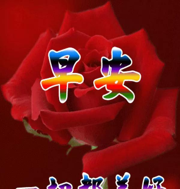 溫馨日常歡樂時光的最新動態(tài)