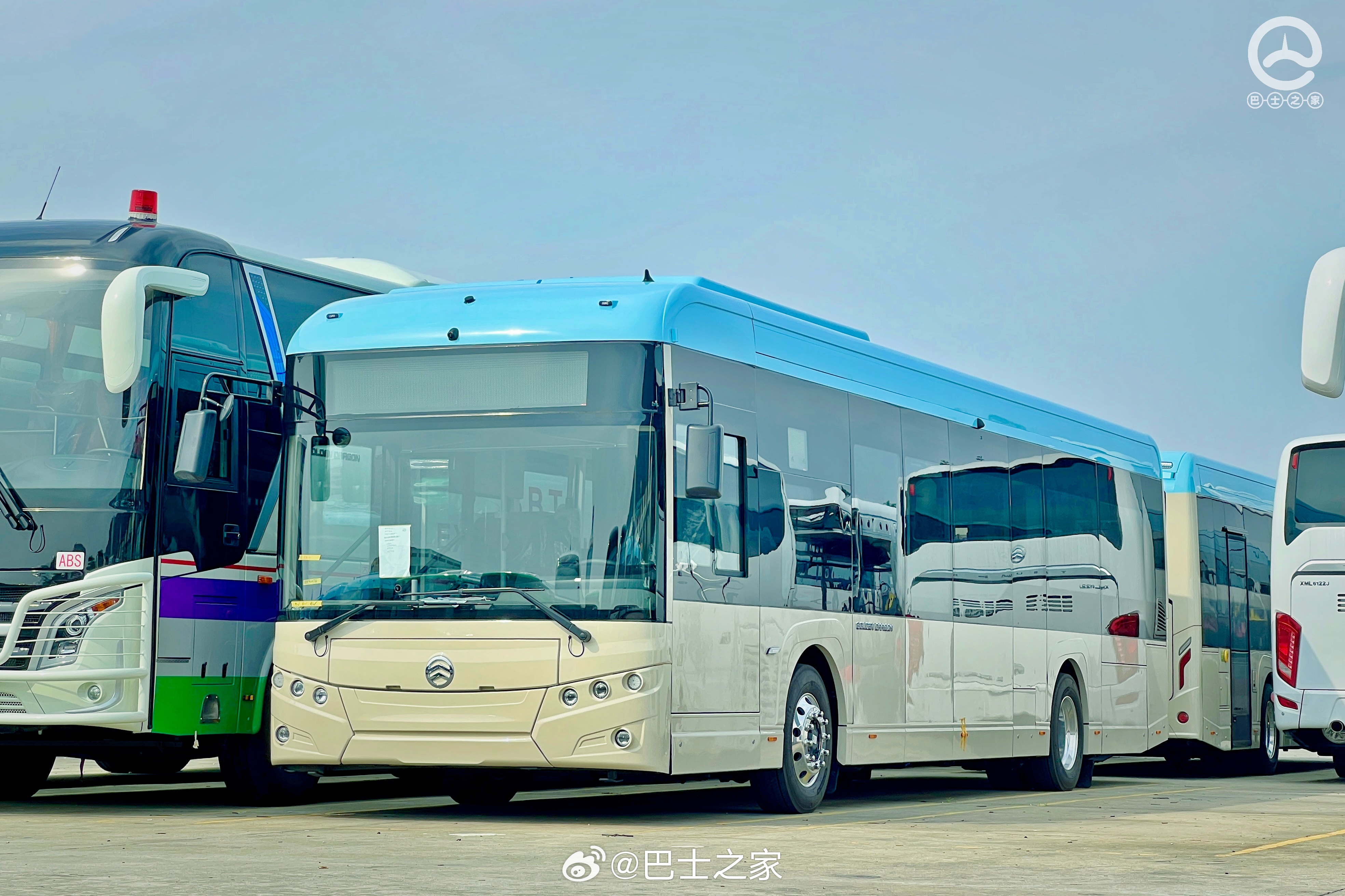 最新海豐車型推薦，精選多款熱門車型任你選！