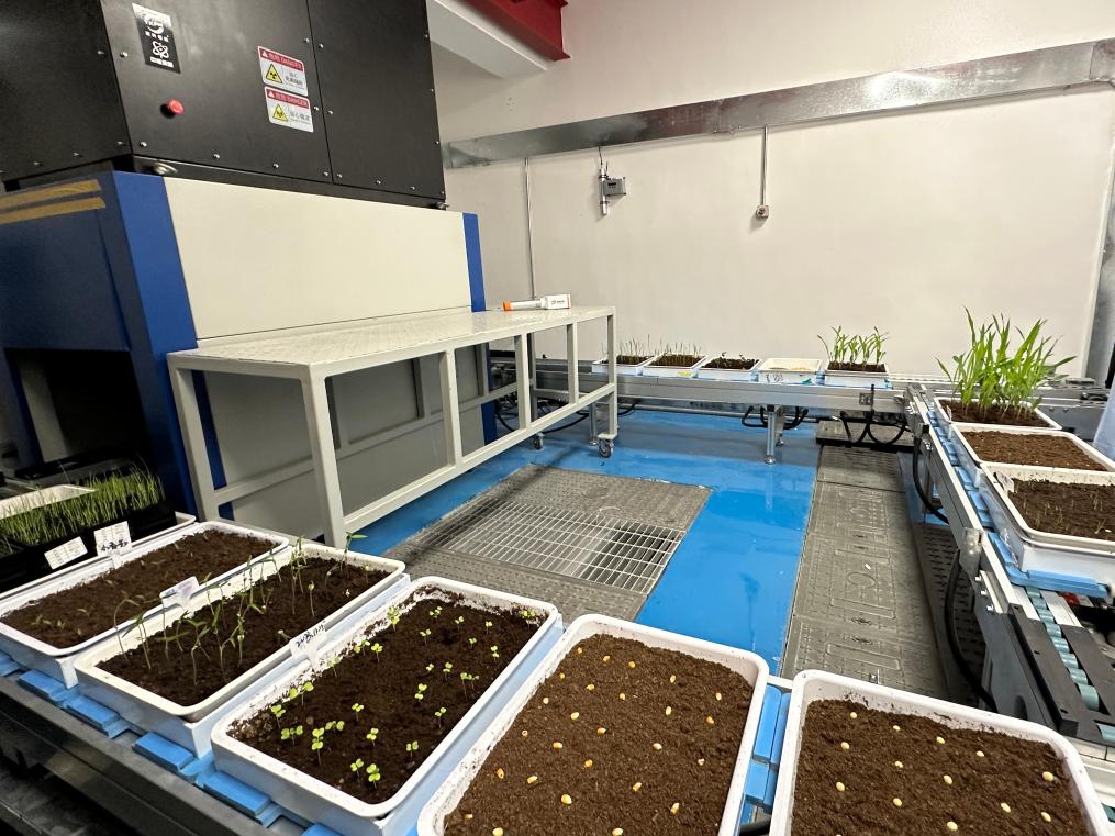 喬元利最新動(dòng)態(tài)，成長軌跡揭秘與未來展望