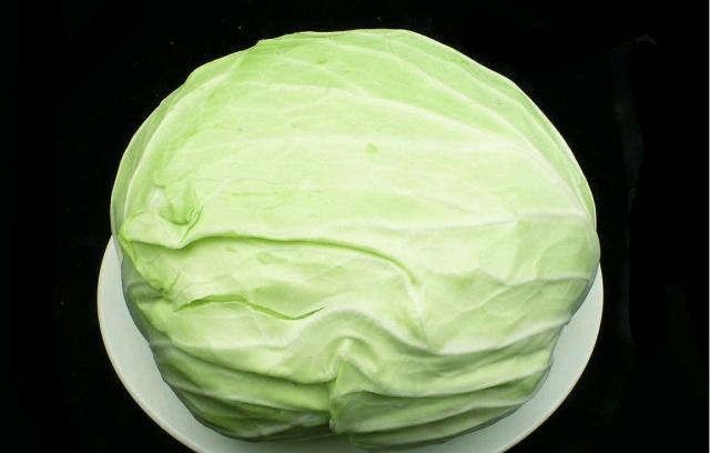 包菜價(jià)格最新行情及分析概述