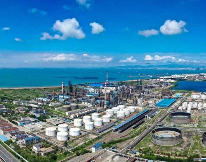 石油市場動態(tài)下的獨特小巷探秘，石油特色隱藏小店揭秘