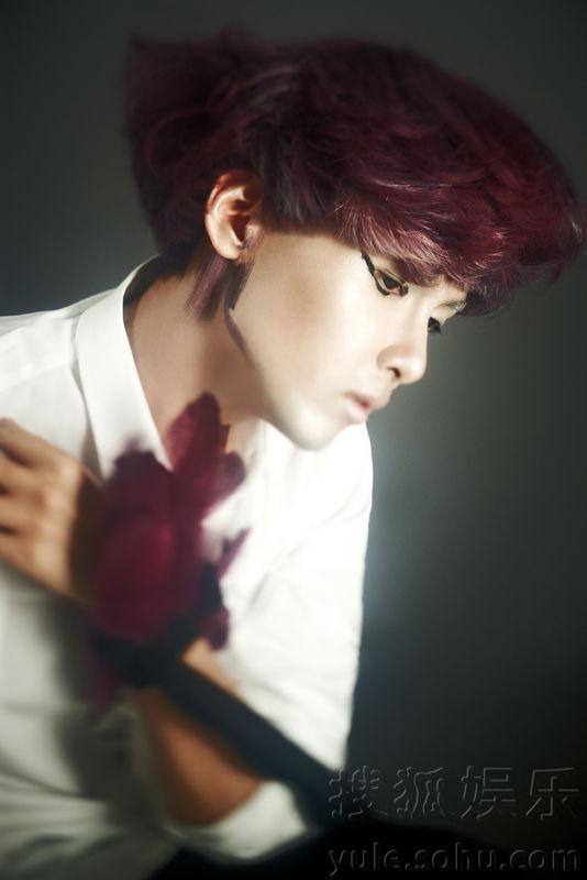 SJ明星揭秘，探索自然美景之旅，尋找內(nèi)心的平靜與喜悅之旅