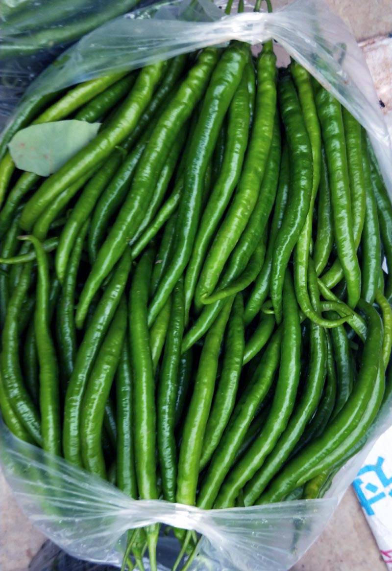 最新線椒種子品種引領時代味覺革命