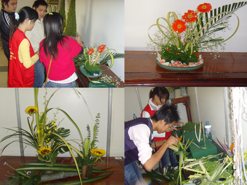 最新花藝風(fēng)采，展現(xiàn)創(chuàng)造力與自信的絕美藝術(shù)