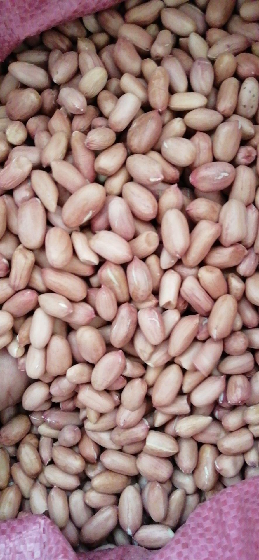 ??花生米最新價格揭秘??