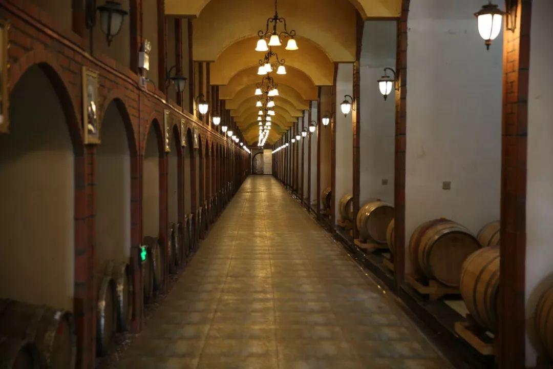 蘇州信匯達(dá)最新動(dòng)態(tài)，友情的紐帶與溫馨的陪伴