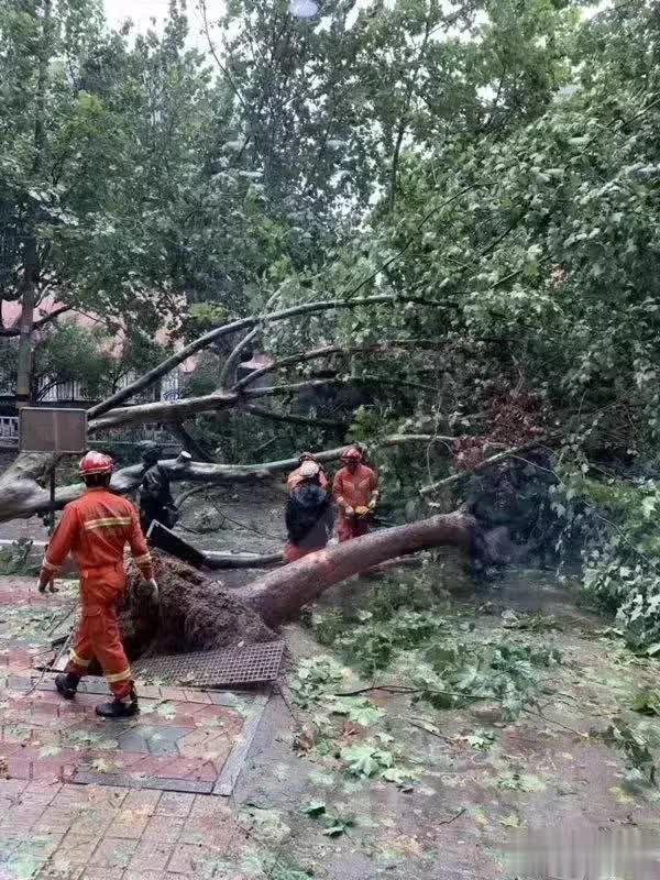 臺風(fēng)路徑實(shí)時發(fā)布系統(tǒng)2019最新與小巷神秘特色小店的獨(dú)特魅力