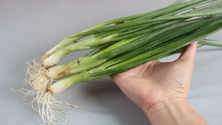 隆化新鮮資訊,隆化新鮮資訊，高科技產(chǎn)品引領(lǐng)未來(lái)，體驗(yàn)前所未有的智能生活