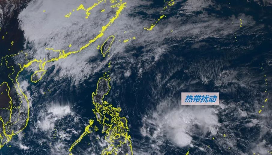 熱帶氣旋最新動態(tài)與風暴中的溫情故事