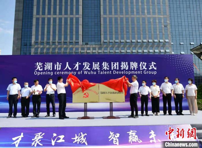 蕪湖縣人才招聘信息，夢想起航，未來等你展翅職場之路