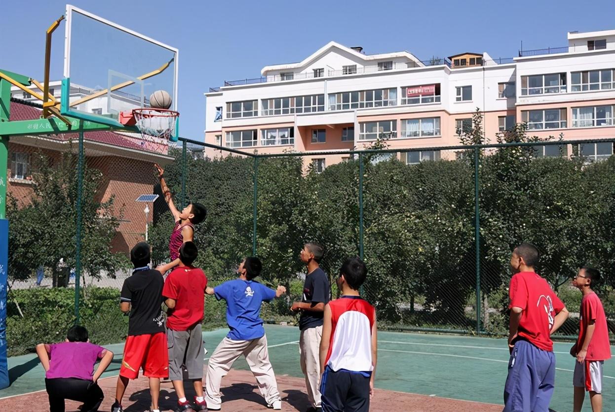 高考最新動(dòng)態(tài),高考最新動(dòng)態(tài)，一場(chǎng)心靈與自然的奇妙旅行