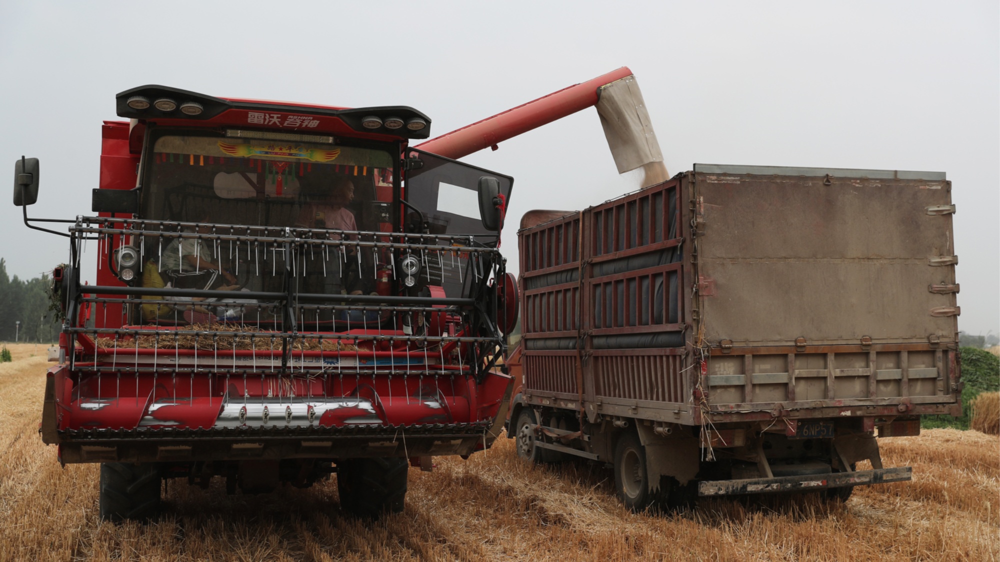 2025年澳門(mén)全年免費(fèi)大全,農(nóng)業(yè)機(jī)械化與電氣化_旗艦設(shè)備版39.429