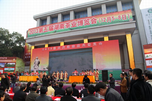 陳社強最新動態(tài)揭秘，最新進展與活動報道??