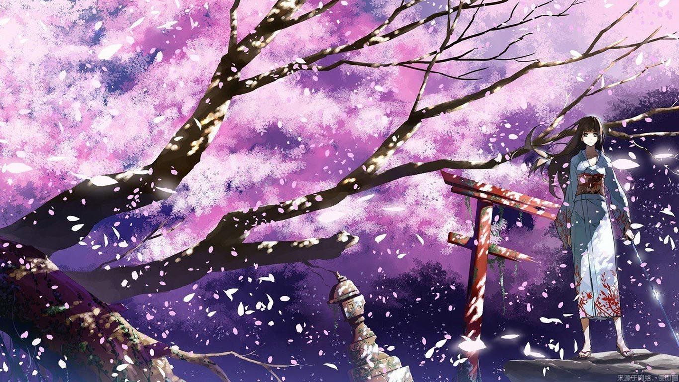 櫻花動漫電腦，值得關(guān)注還是過客？品牌深度解析