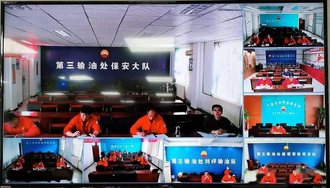 白小姐三期必開一肖,科學(xué)解說指法律_薄荷版77.859