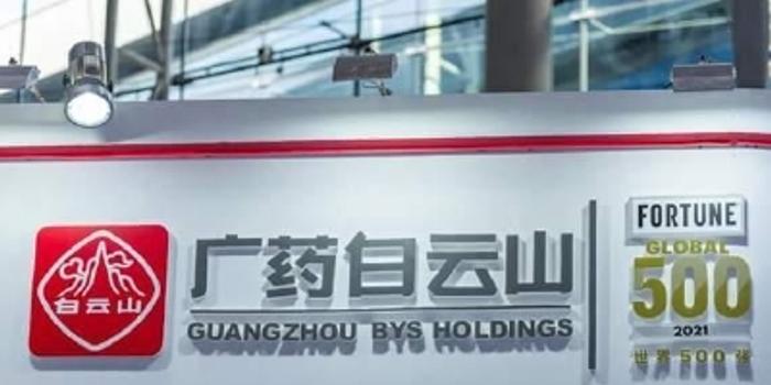 白云山上市時(shí)間及獨(dú)特美味探尋之旅