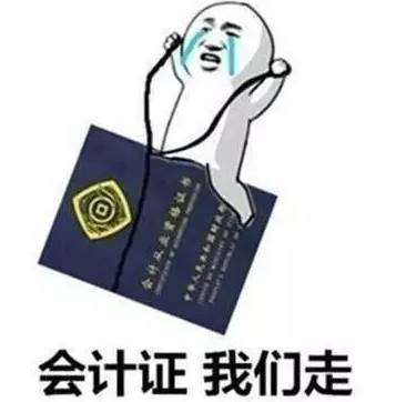 會計資格證最新動態(tài)詳解，觀點闡述與深度解析