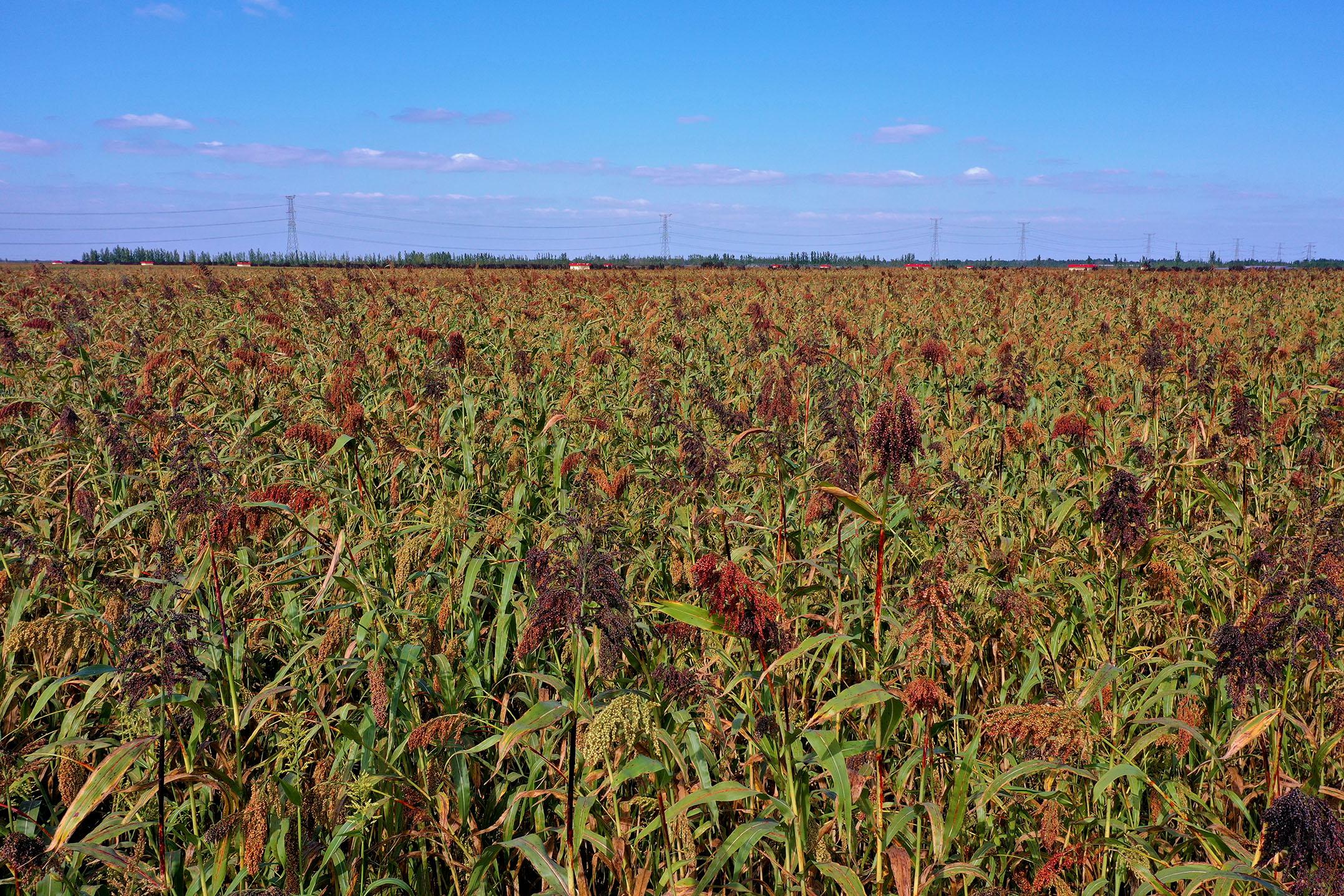 電視劇與自然美景之旅，探尋內(nèi)心的平和與喜悅之旅