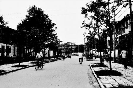 探秘福州小巷中的楊最新獨特風味美食之旅