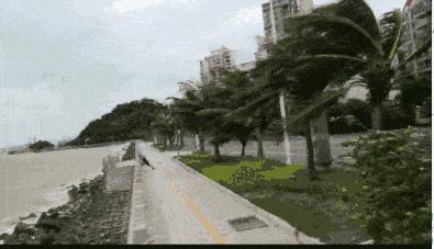 珠海臺風最新動態(tài)，風雨中的勵志故事