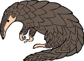 揭秘最新病毒資訊，你必須了解的事！