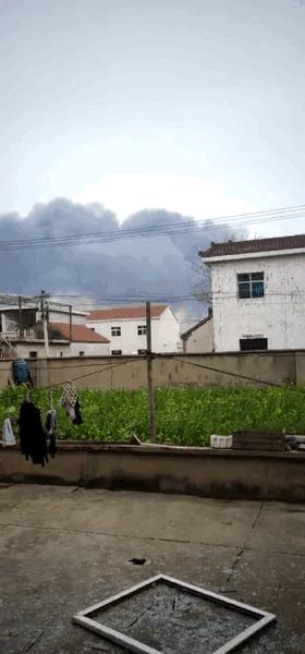 灌南最新動態(tài)，自然美景探索之旅的治愈力量