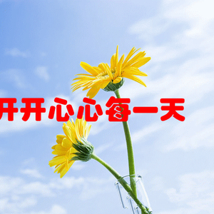 “最新貓咪動態(tài)”,最新貓咪動態(tài)，小巷深處的貓步輕揚特色小店